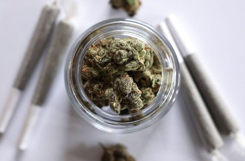  Scientists say marijuana doesn’t ease anxiety or other mental health conditions | Health Watch