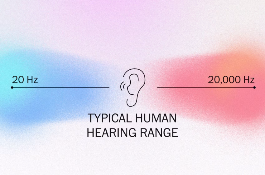  Column | New tech helps us hear these nature sounds beyond normal human range