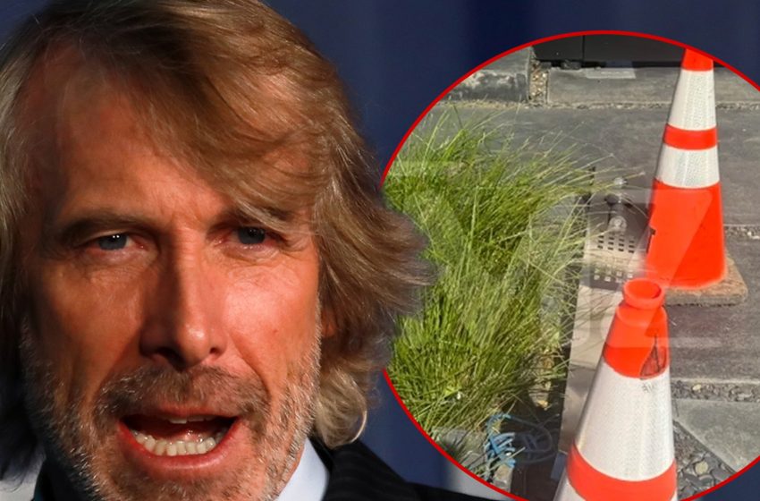  Michael Bay Sues Women Who Allegedly Damaged His Home In Hit-and-Run
