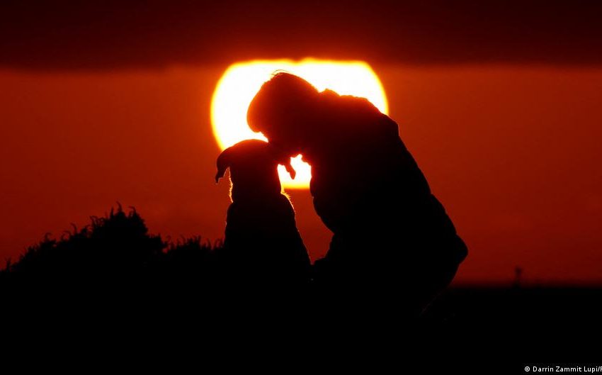  Humans and dogs — scientists find new proof of ancient bond