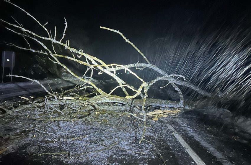  Gov. Whitmer declares state of emergency after extreme winter storm