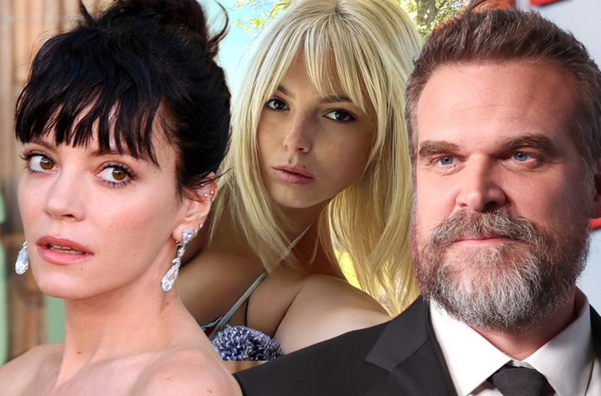  Woman Linked to David Harbour Asked to Leave Lily Allen Producer’s Party