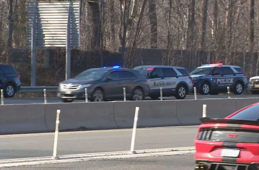  Man stabbed, killed his own dog in deadly road rage attack on I-495 in Virginia