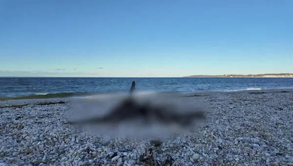  News 12 | Long Island