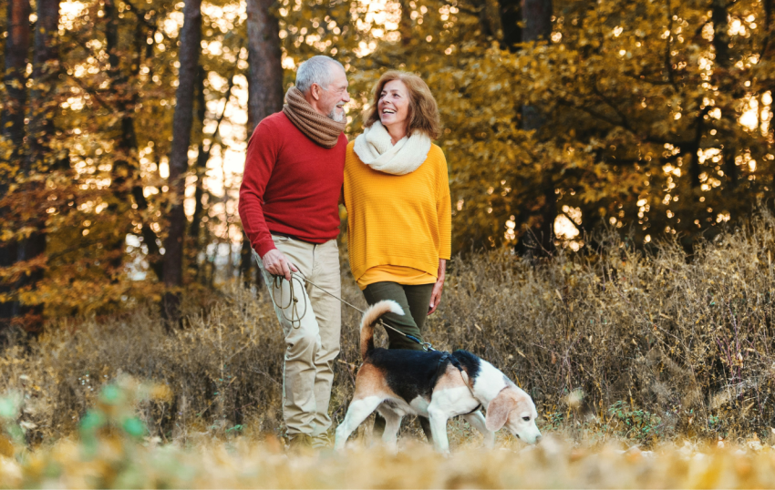  Psychology says people who stay fit after 60 without formal exercise aren’t lucky – they practice 10 daily habits that turn their entire life into low-grade movement their body interprets as purpose, not obligation