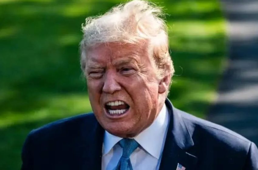  This Newspaper’s Cover Photo Just Brutally Called Out Donald Trump, And Wow, They Really Went There