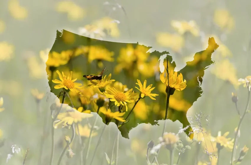  Seasonal allergies are coming. Four tips to help prepare you