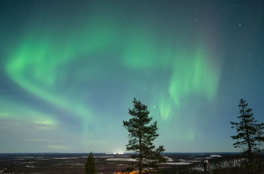  The world’s happiest countries have a few things in common