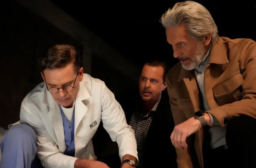  Who died in 'NCIS' Ep. 500? CBS show's tragic love letter (Spoilers!) – USA Today