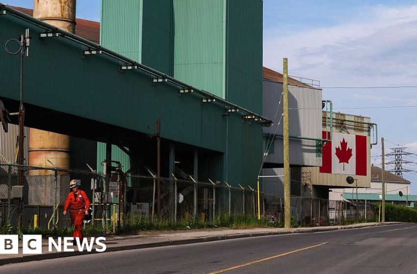  Canada sheds more than 100,000 jobs in first two months of year – BBC