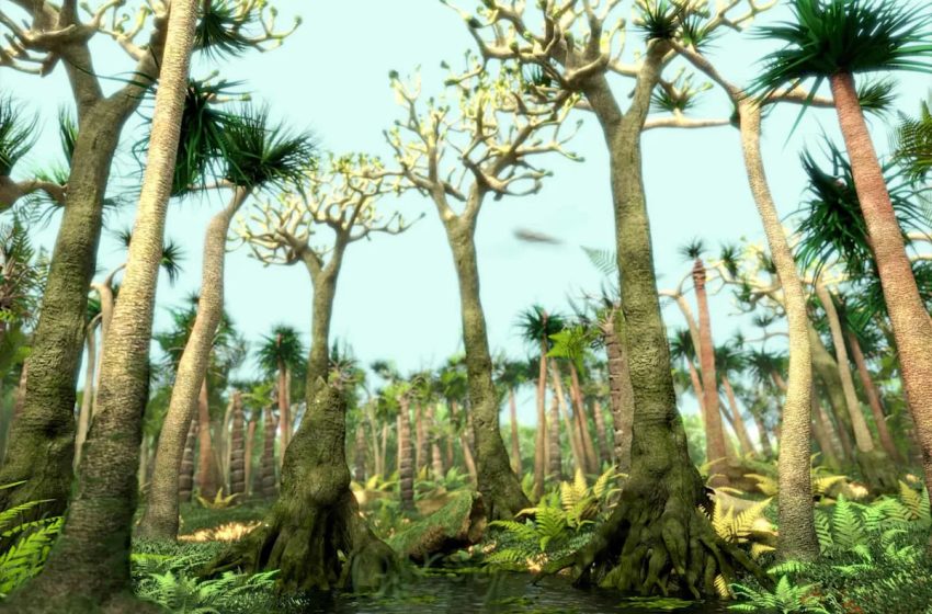  Scientists Found a “Living Fossil” with a Twisted Jaw and Teeth That Point Sideways