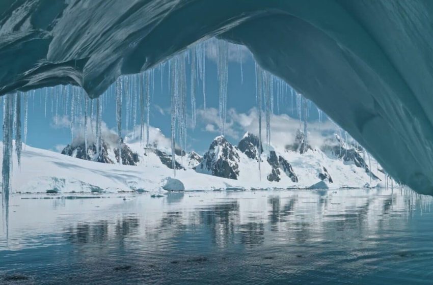  A Group of Scientists Just Discovered Fossils in Greenland That Are 3.7 Billion Years Old