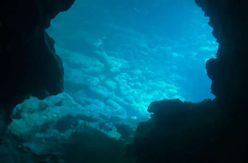  A Japanese Team Found Strange Black Eggs at 6,200 Meters Depth, Here’s What They Discovered Inside When They Opened Them