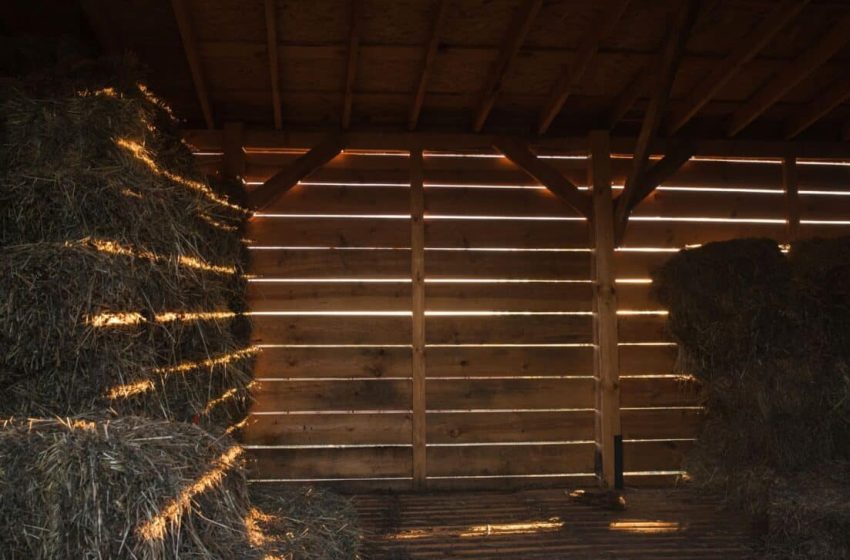  A Man Discovered a Mysterious Stone in His Barn that Turned Out to Be an Archaeological Treasure