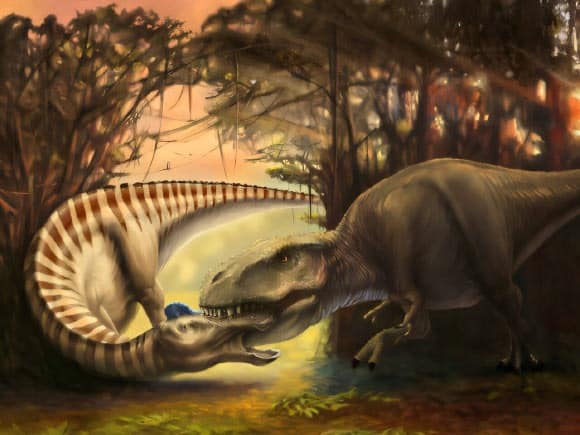 A Tyrannosaurus Rex Attacking An Adult Edmontosaurus.