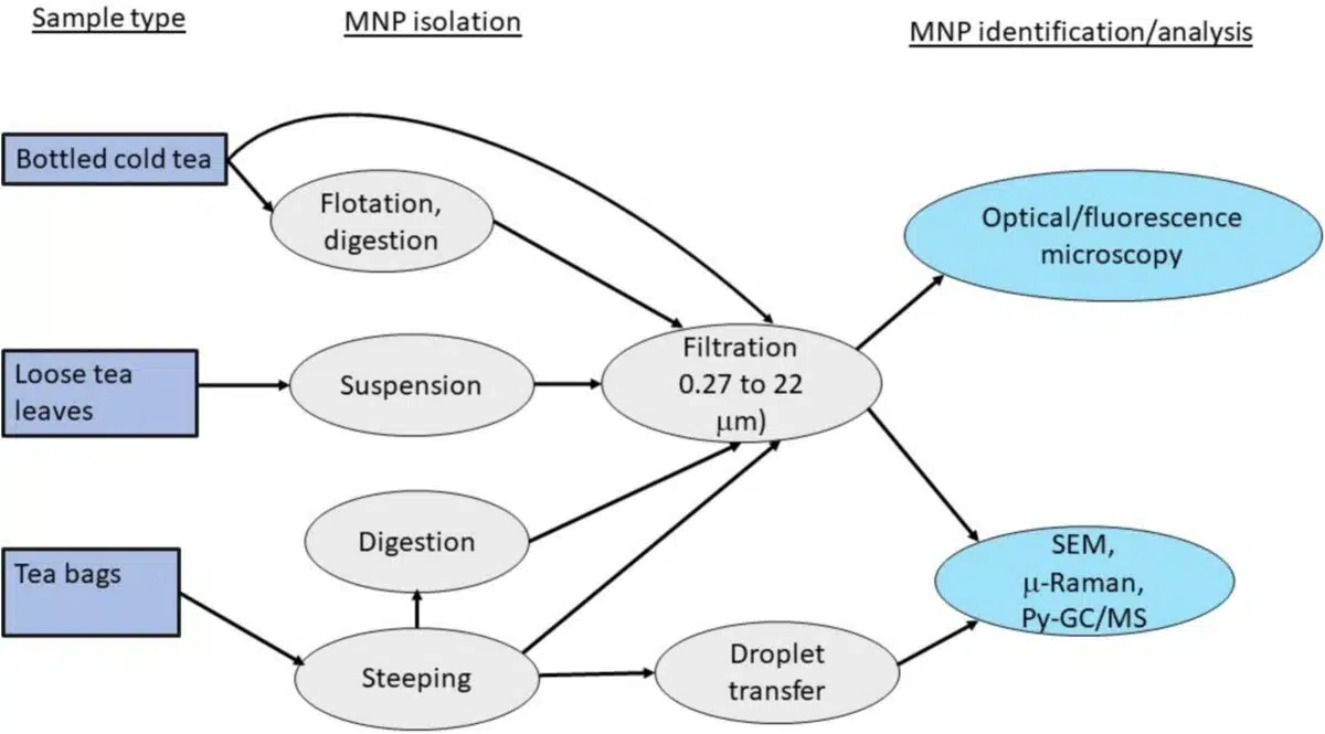 . A Summary Of The Approaches To Mnp Isolation