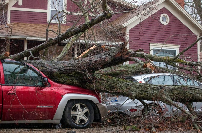  Tornadoes across central United States kill at least eight people | Weather News