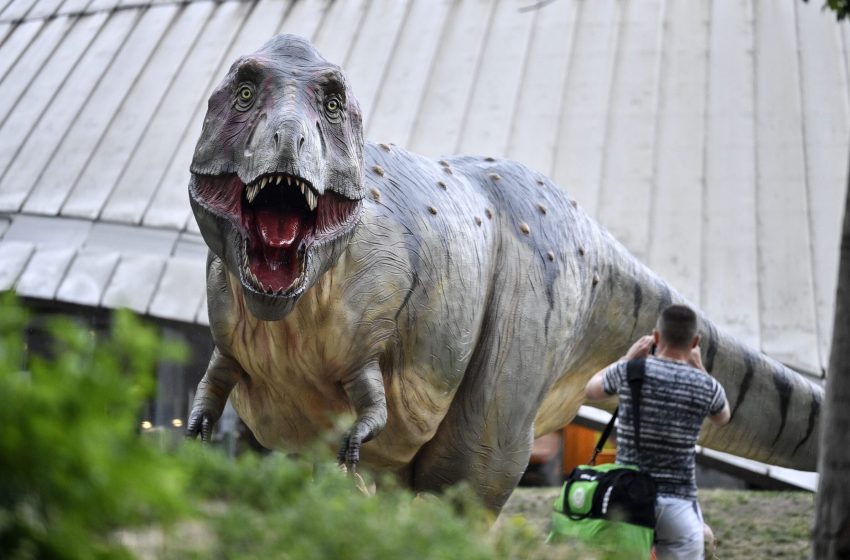  Fossil discovered in New Mexico may belong to T. rex ancestor