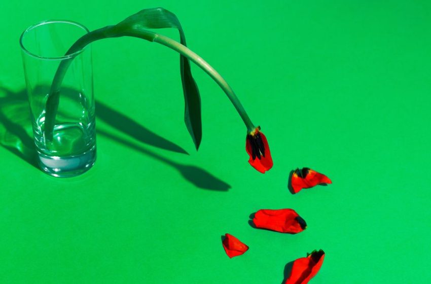  This Subtle Relationship Stressor Could Be Aging You Faster