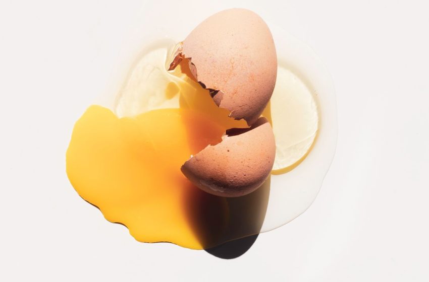  19 Foods With More Protein Than Eggs