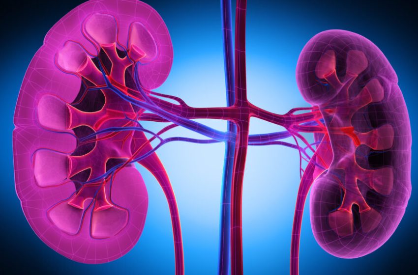  Vertex says drug reduced marker of kidney disease in late-stage trial