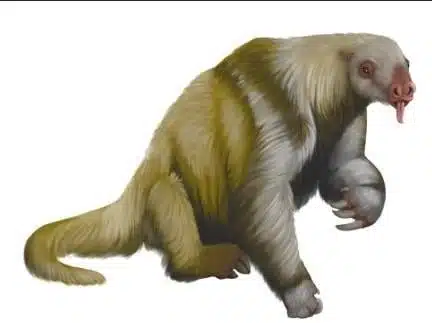 An Artist’s Interpretation Of The Shasta Ground Sloth
