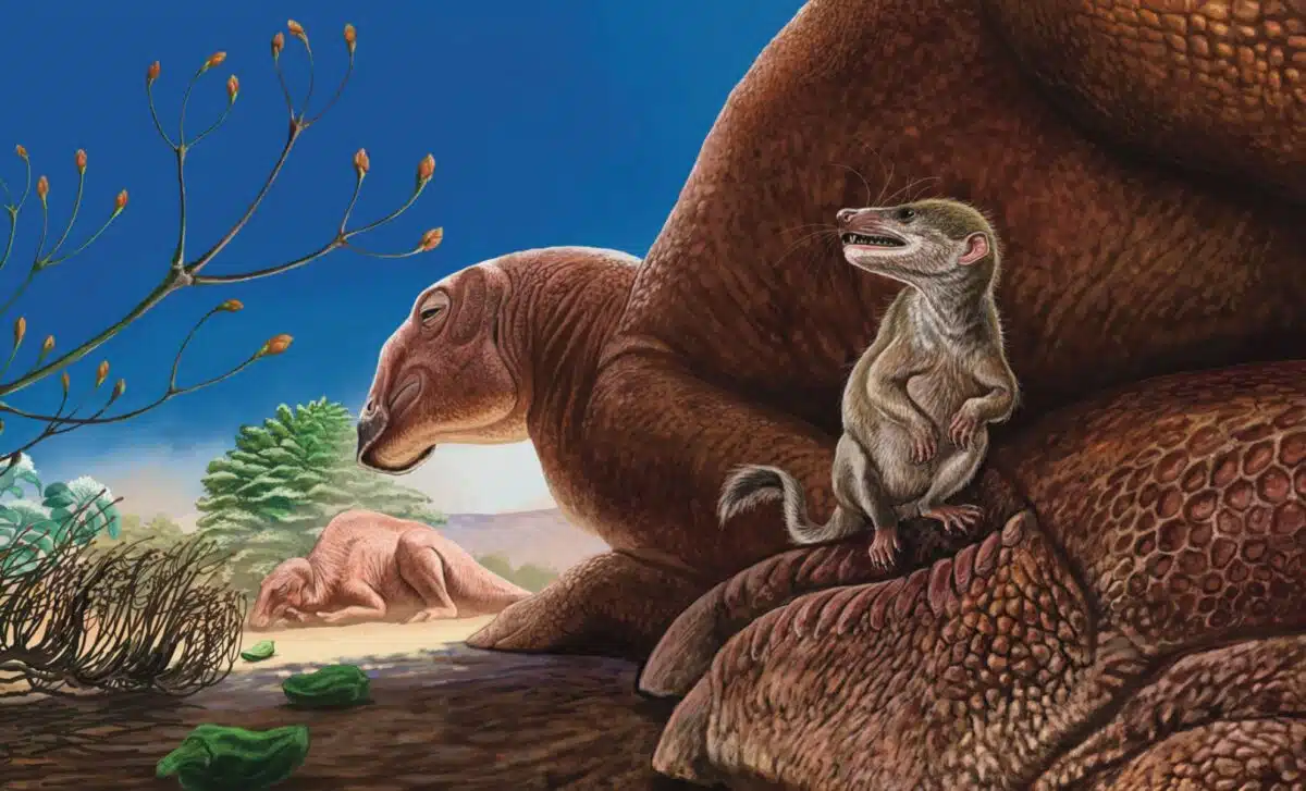 An Artist's Rendering Of Ravjaa Ishiii In Its Natural Habitat, Depicted Here (foreground) Beneath The Towering Foot Of The Hadrosaur Gobihadros.