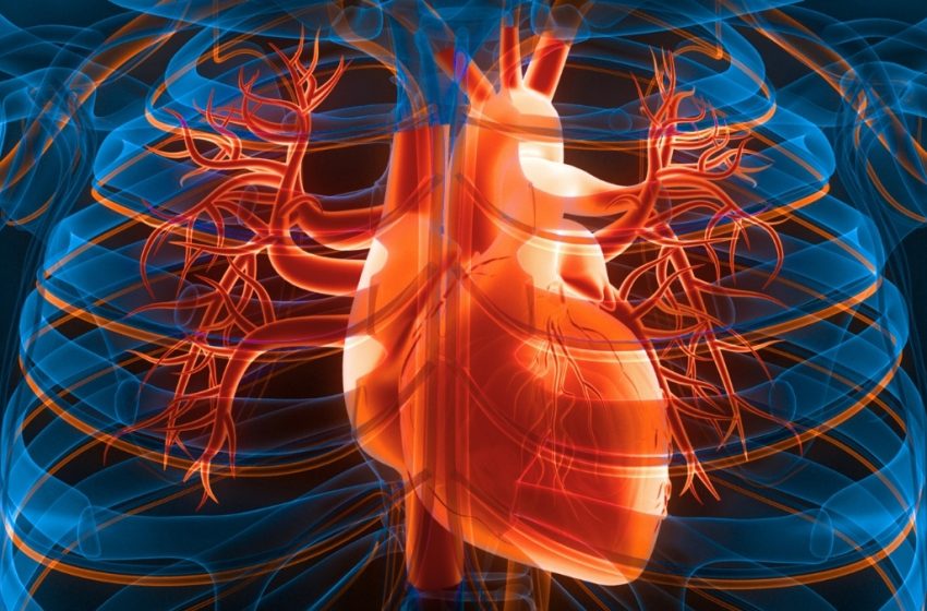  3 Simple Daily Changes Could Lower Your Risk of Heart Attack And Stroke : ScienceAlert