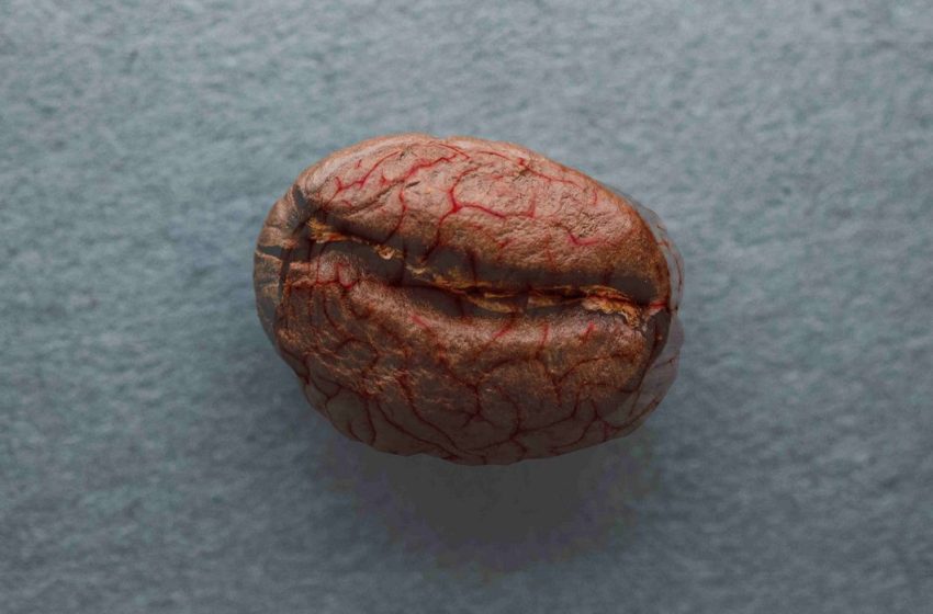  43-year-long Study Found Coffee Was Associated with 18% Lower Risk of Dementia