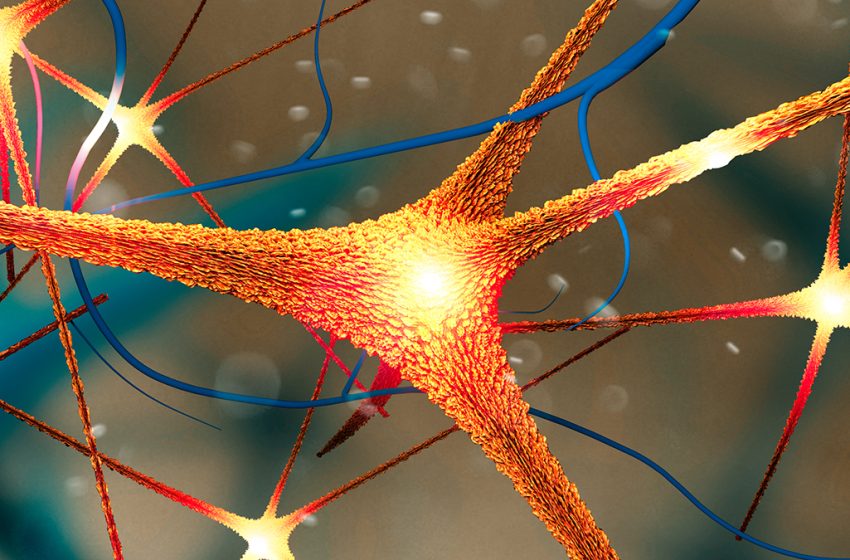  Parkinson’s Protein Could Help Explain Alzheimer’s Gender Imbalance : ScienceAlert