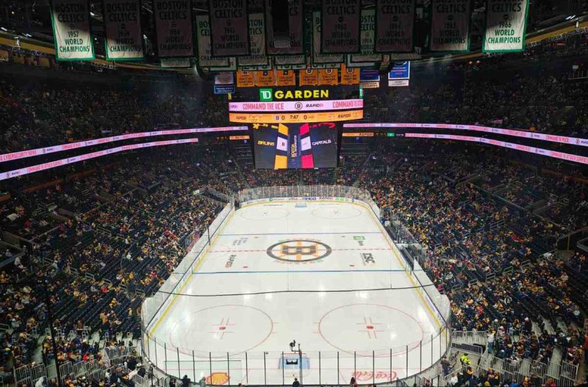  Bruins beat Caps 3-1 in post-deadline disappointment