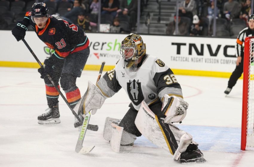  Capitals organization has goaltending logjam after acquiring Jesper Vikman