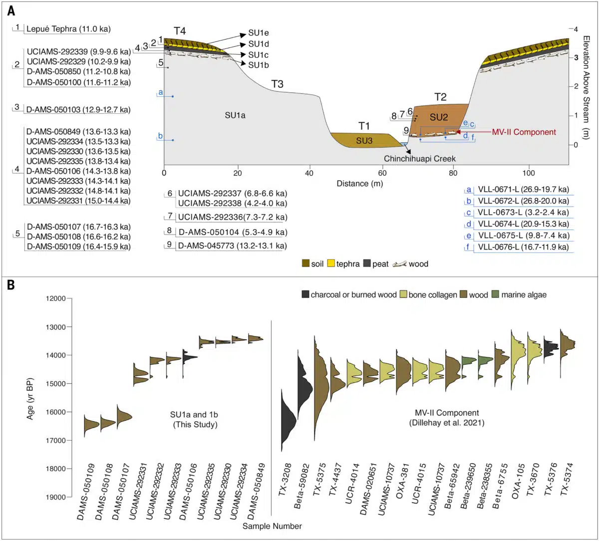 Cross Section And Age Data From The Monte Verde Site.