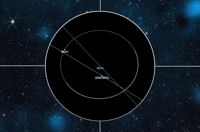  Bus-sized asteroid will fly past Earth tonight mere days after being discovered. Here’s what to expect
