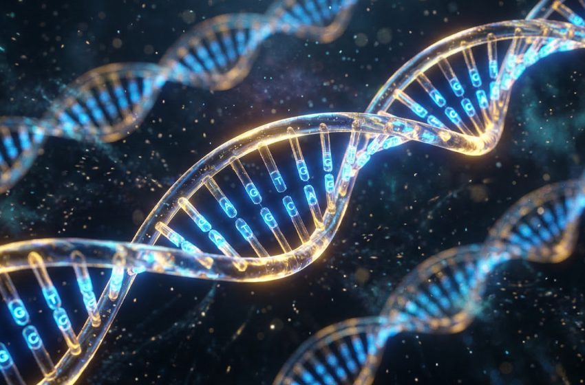  Genetic factors drive the link between cognitive ability and socioeconomic status