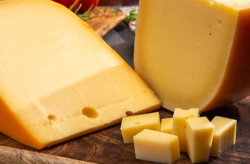  Dutch Beemster cheese wins 2026 World Champion title in Wisconsin