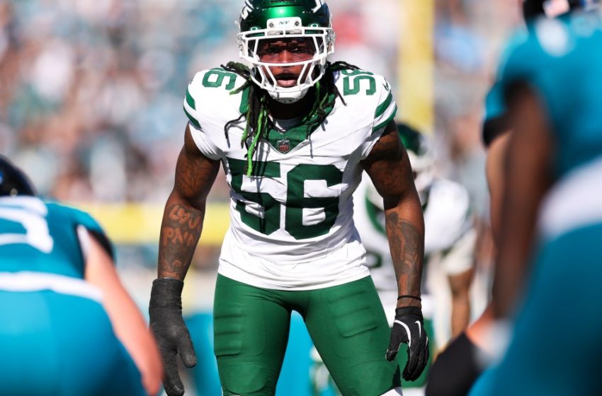  Detroit Lions free agency preview: Best linebacker fits, Anzalone replacments