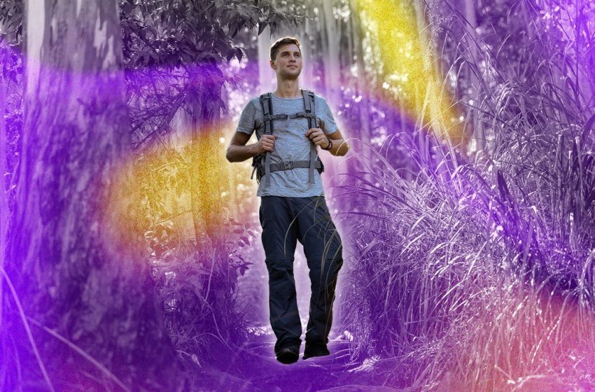  Does Walking Build Muscle, Burn Fat, or Both?