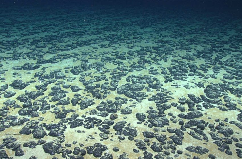  ‘Dark oxygen’ discovery on the seafloor is ‘fundamentally at odds with thermodynamics’ and should be retracted, experts say