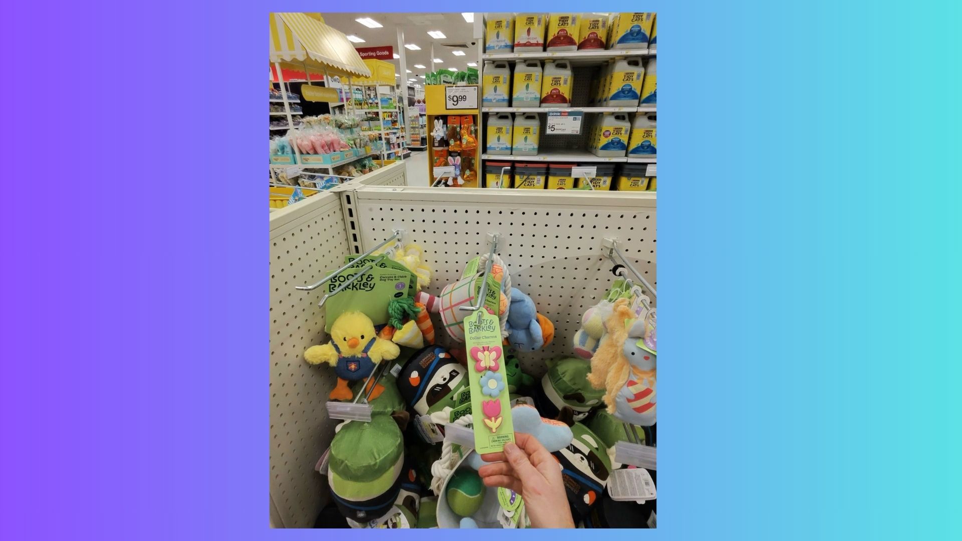 Image taken with meta glasses