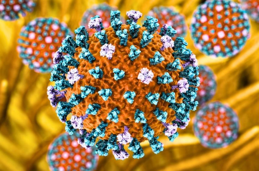  H9N2 Bird Flu Hits Europe as First Human Case Confirmed in Italy : ScienceAlert