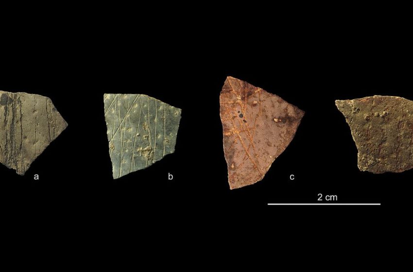  Ancient Fragments Could Be The World’s Oldest Known Geometry : ScienceAlert