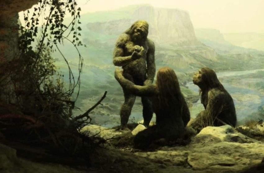  Scientists Finally Reveal The Date Humans First Learned to Speak