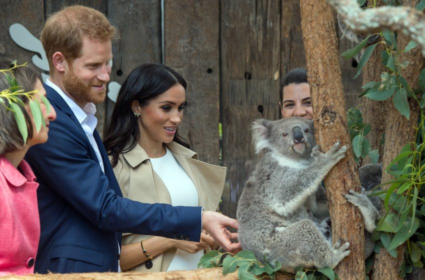 Harry and Meghan return to Oz – but the royal honeymoon is long over