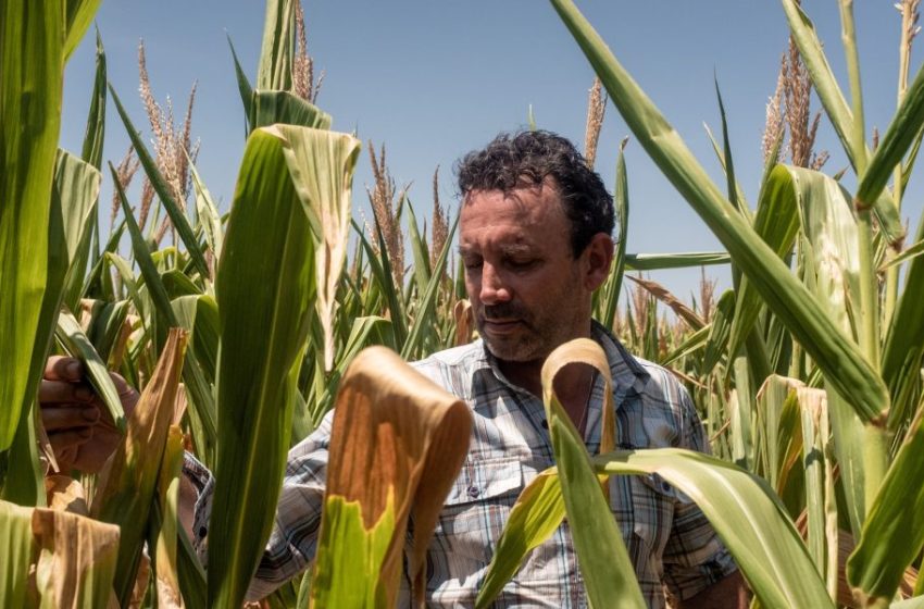  Fertilizer prices soar amid Strait of Hormuz tensions—forcing U.S. farmers to rethink crop planting