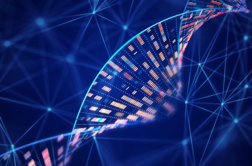  A tech entrepreneur used AI to help create the first-ever bespoke cancer vaccine for a dog