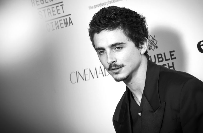  Why Timothee Chalamet Will or Won’t Win the Oscar for ‘Marty Supreme’