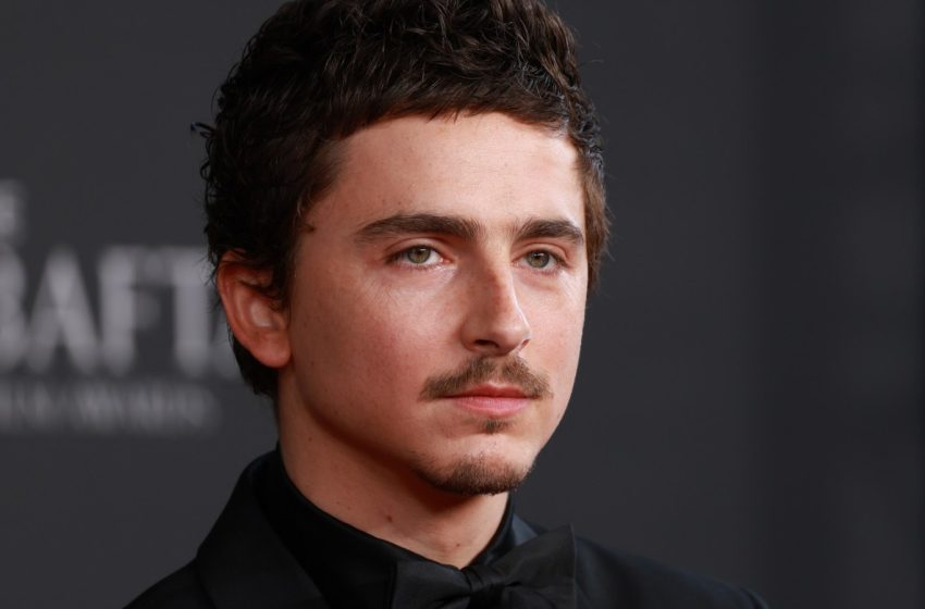  Ballet, Opera Companies Slam Timothée Chalamet Over ‘No One Cares’ Quip