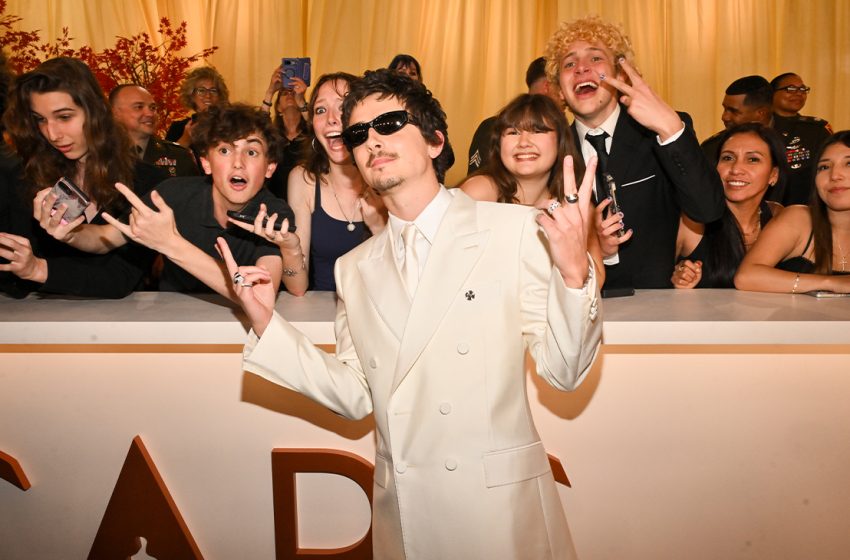  Timothée Chalamet Take a Break Until Dune 3 Arrives