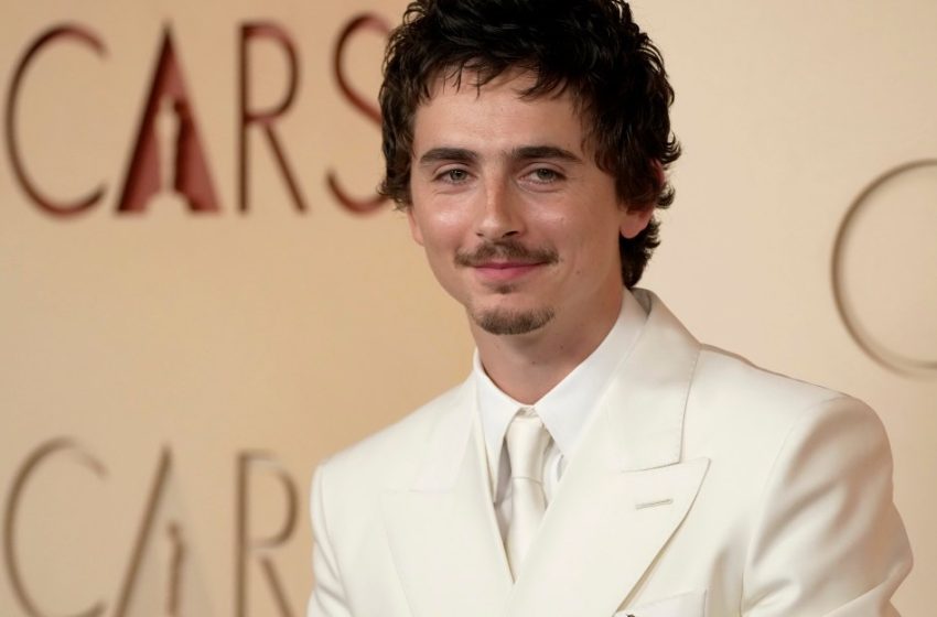  Timothèe Chalamet’s Best Actor Oscars loss to Michael B. Jordan, explained